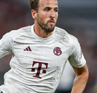 在复杂博弈 在复杂博弈