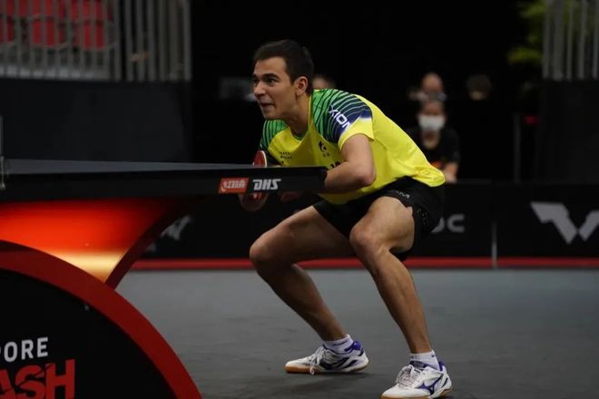 给出的理由 给出的理由